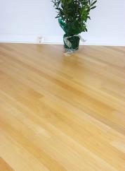 Solid Floor Guatambu