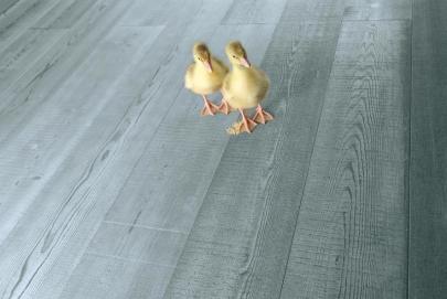 Parchet Stejar Acqua