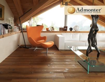 Salcam ROBINIA MARONNE 